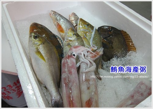 鮪魚7