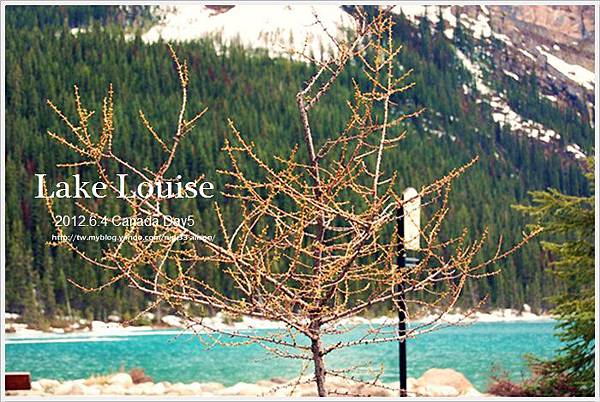 Lake Louise 18