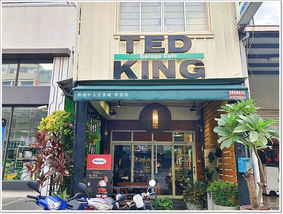 TED KING 01.JPG